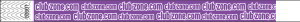 CZ Pattern Purple & White Tyvek Wristbands
